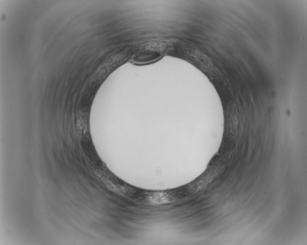 X0000070880091200607150157