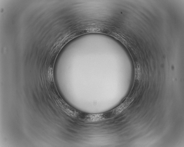 X0000070880093200607150157