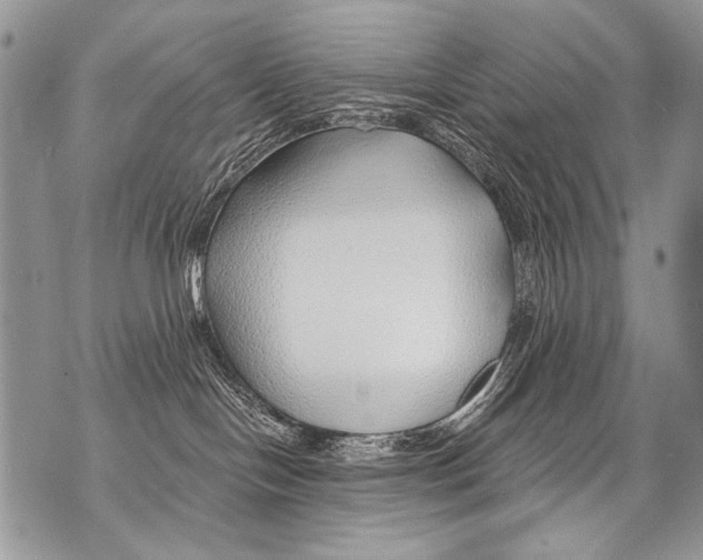 X0000070880094200607150157