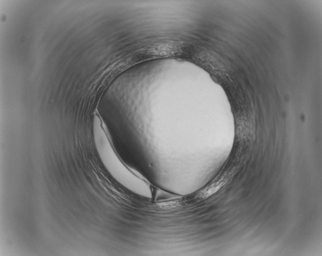 X0000070880095200607150157