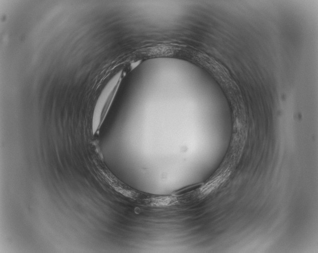 X0000070880096200607150157