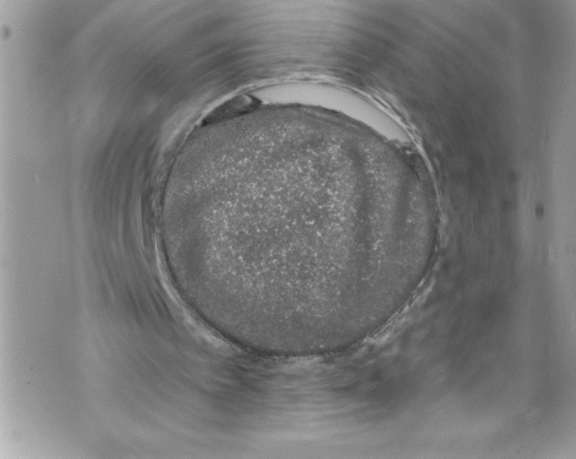 X0000070880097200607150156