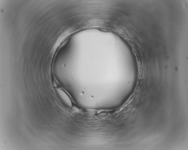 X0000070880099200607150156