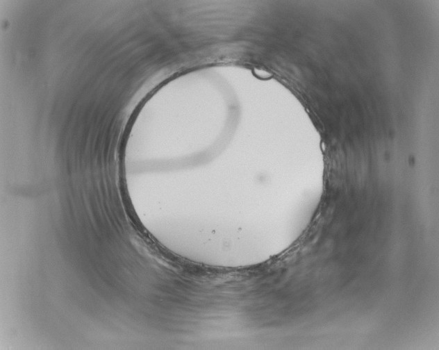 X0000070880100200607150156