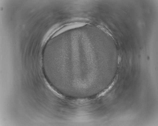 X0000070880101200607150156