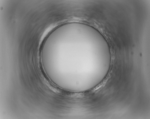 X0000070880102200607150156