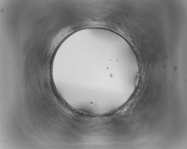 X0000070880103200607150156