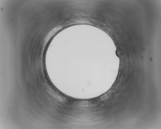 X0000070880104200607150156