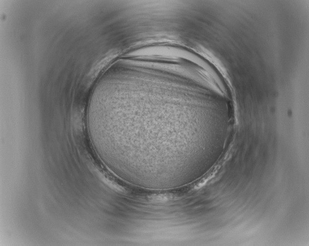 X0000070880105200607150156