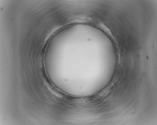 X0000070880106200607150156