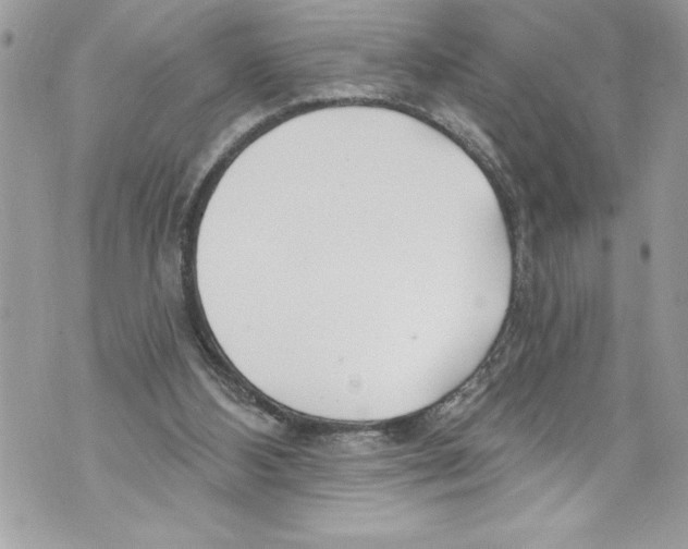 X0000070880108200607150156