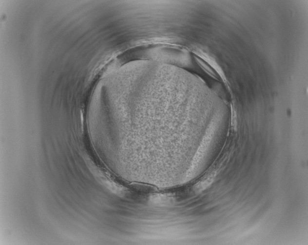 X0000070880109200607150156