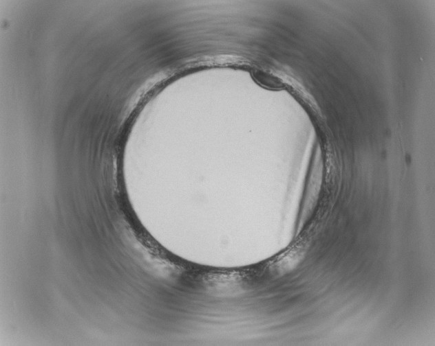 X0000070880110200607150156