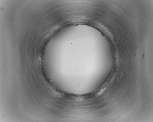 X0000070880113200607150156