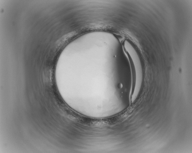 X0000070880115200607150156