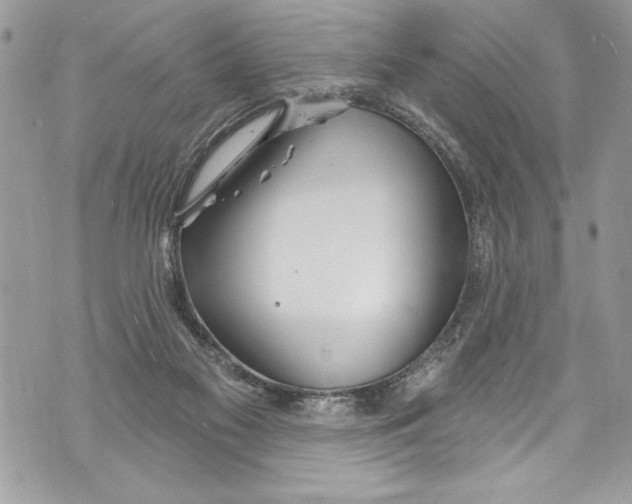 X0000070880117200607150156