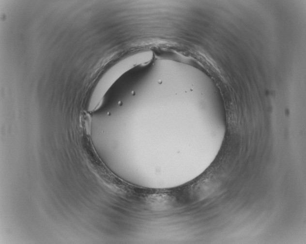 X0000070880119200607150156