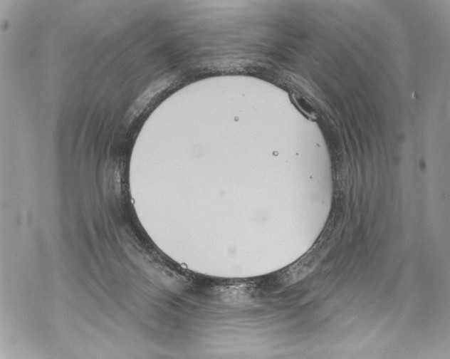 X0000070880120200607150156