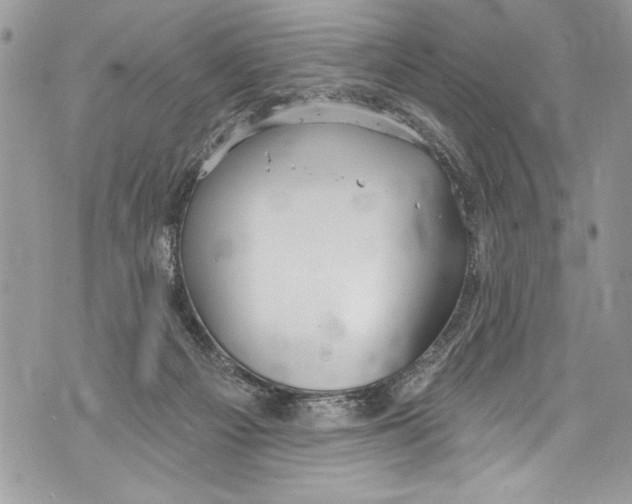 X0000070880121200607150156