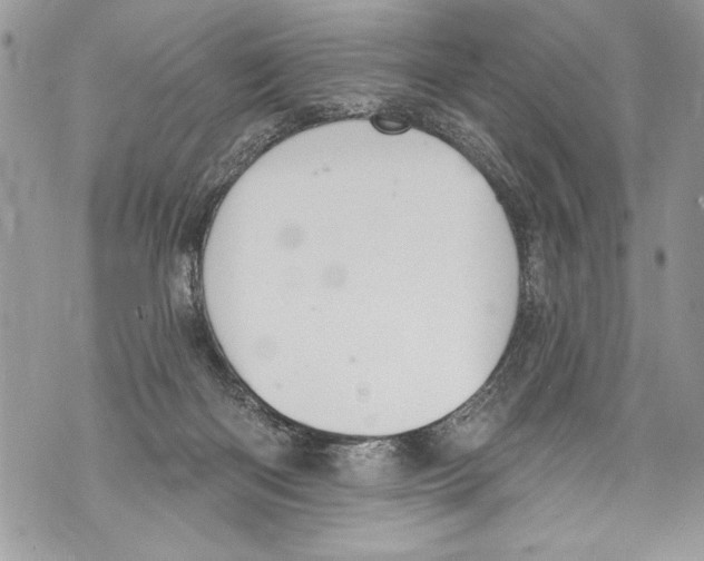 X0000070880122200607150156