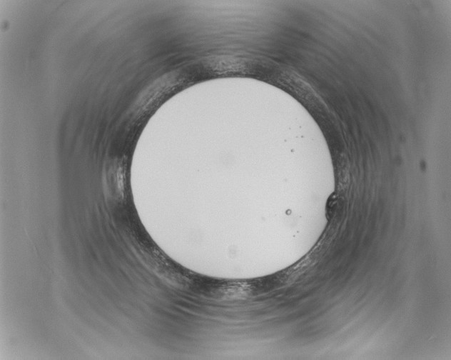 X0000070880124200607150156