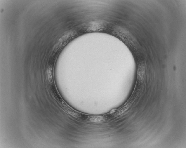 X0000070880127200607150156