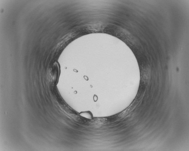 X0000070880128200607150156