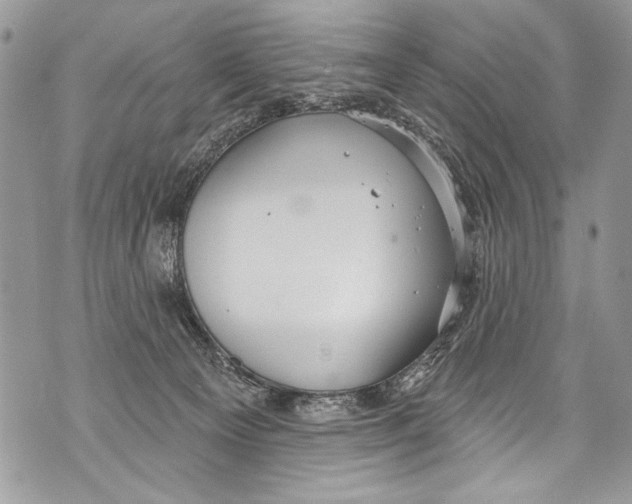 X0000070880129200607150156