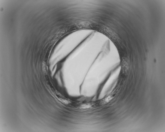 X0000070880130200607150156