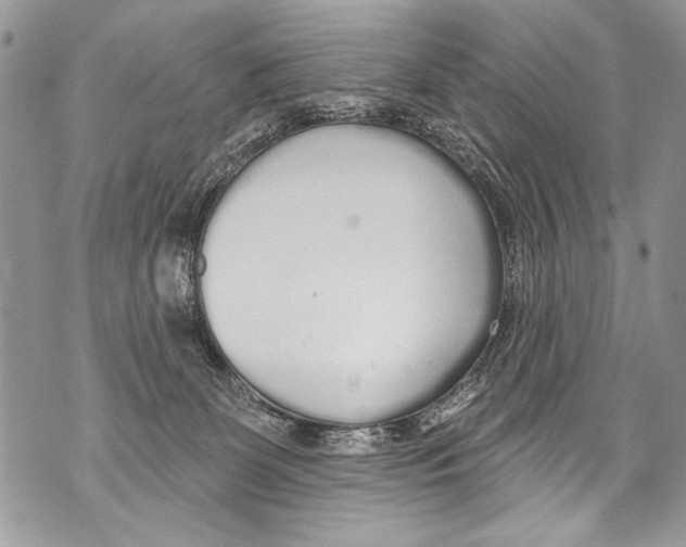 X0000070880131200607150156