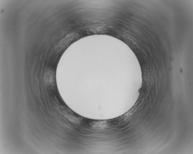 X0000070880132200607150156