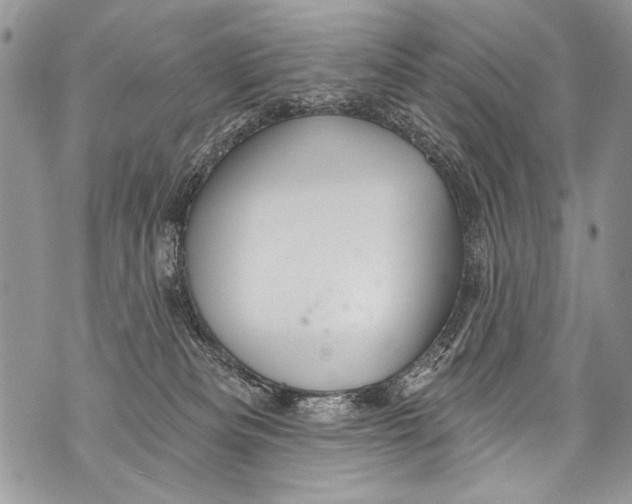 X0000070880133200607150156