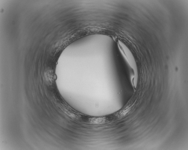 X0000070880135200607150155