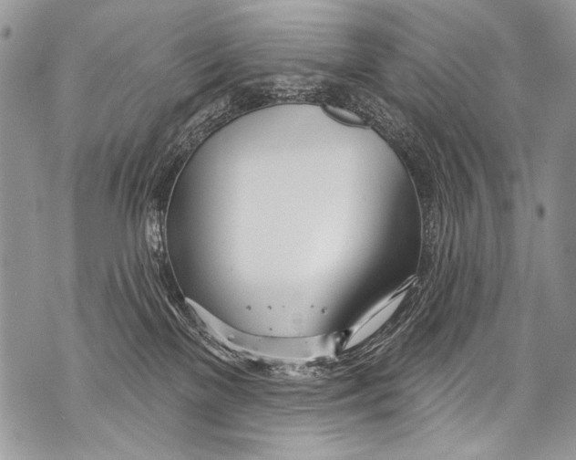 X0000070880137200607150155