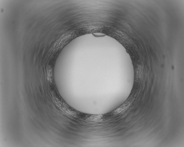 X0000070880138200607150155