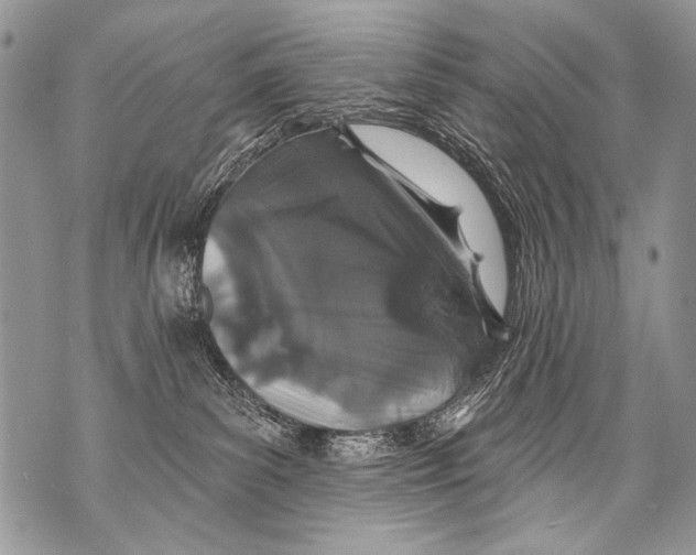 X0000070880139200607150155