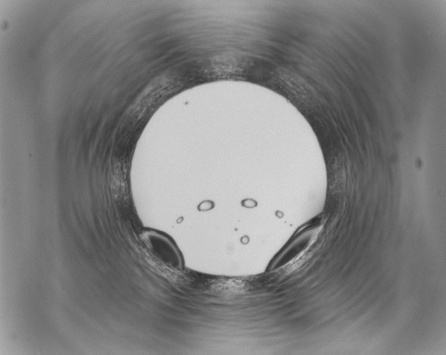 X0000070880140200607150155