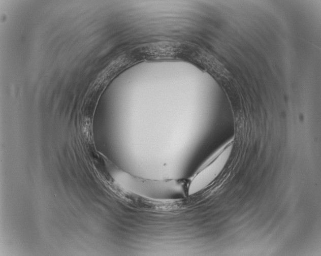 X0000070880141200607150155