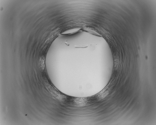 X0000070880142200607150155