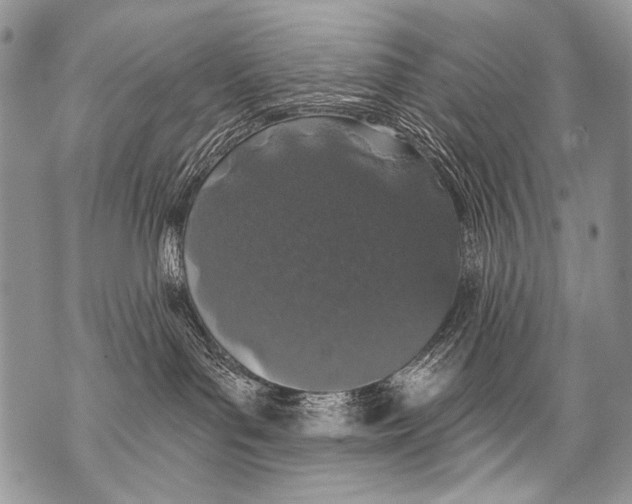 X0000070880143200607150155