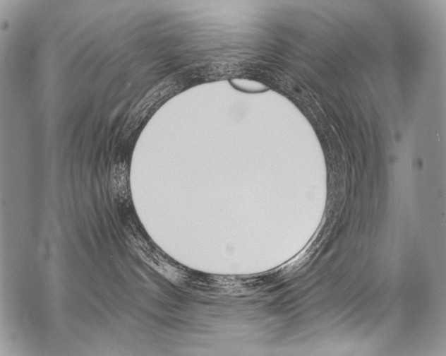 X0000070880144200607150155