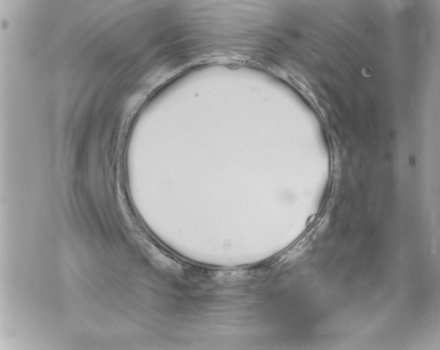 X0000070880145200607150155