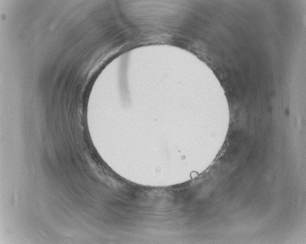 X0000070880146200607150155