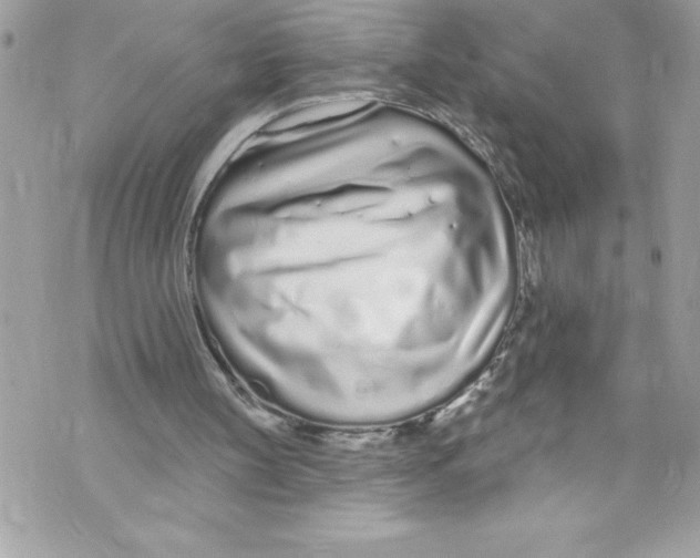 X0000070880147200607150155