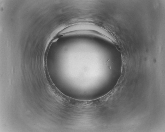 X0000070880148200607150155