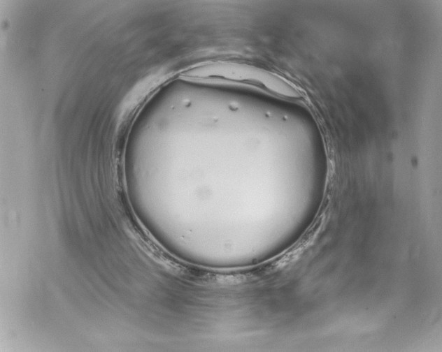 X0000070880149200607150155