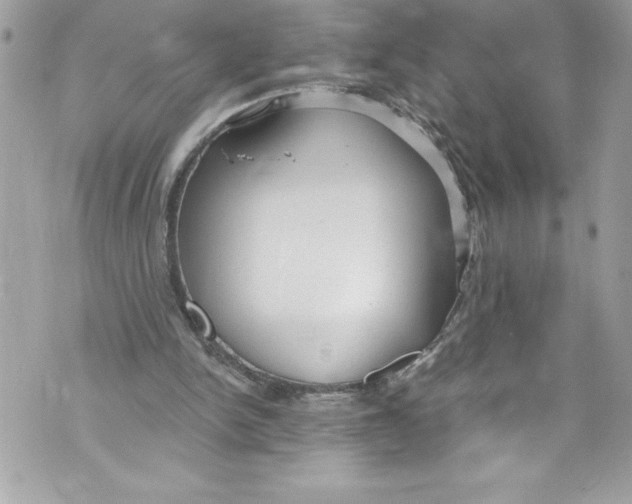 X0000070880150200607150155