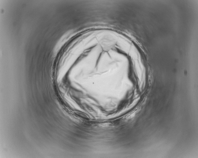 X0000070880151200607150155