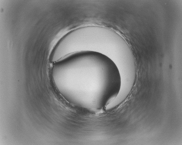 X0000070880152200607150155