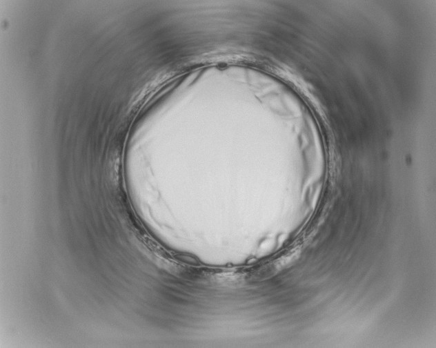 X0000070880153200607150155